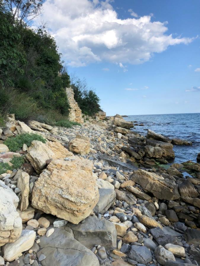 Coral Beach Корал Бийч Sveti Vlas Dış mekan fotoğraf